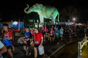 BIB: 
                            <button type="button" onclick="openModal(26552310)" class="btn btn-primary btn-sm float-right btn-popup" data-toggle="modal" data-target=".modal-high-quality">
                        <i class="fas fa-shopping-cart"></i> Add to Cart
                    </button>
                                            <button type="button" onclick="isThisMe(26552310, true)" class="btn btn-success btn-sm float-right btn-popup btn-isme hidden" data-toggle="tooltip" data-placement="bottom" title="นี่คือรูปของคุณใช่ไหม คลิกที่นี่เพื่อเอาเข้าอัลบั้ม">
                        <i class="fas fa-plus"></i> Add to album
                    </button>
                    <button type="button" onclick="isThisMe(26552310, false)" class="btn btn-warning btn-sm float-right btn-popup btn-isnotme hidden">
                        <i class="fas fa-ban"></i> Remove from album
                    </button>